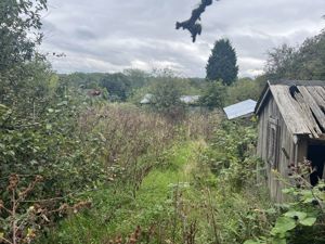 Photo 9- click for photo gallery